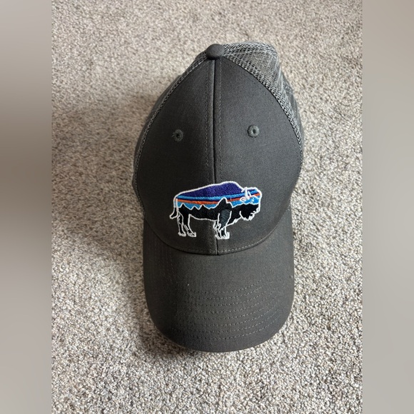Patagonia Fitz Roy Bison Trucker Mens One Size Hat Grey Outdoor Cap - Picture 2 of 4